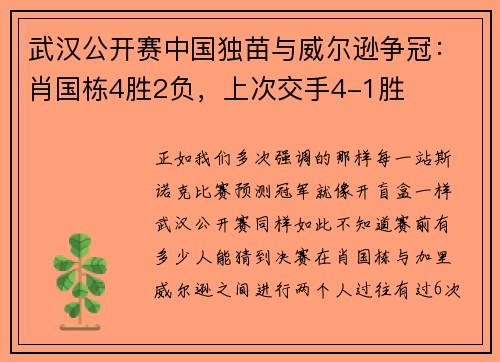 武汉公开赛中国独苗与威尔逊争冠:肖国栋4胜2负,上次交手4-1胜 武汉公开赛中国独苗与威尔逊争冠:肖国栋4胜2负,上次交手4-1胜